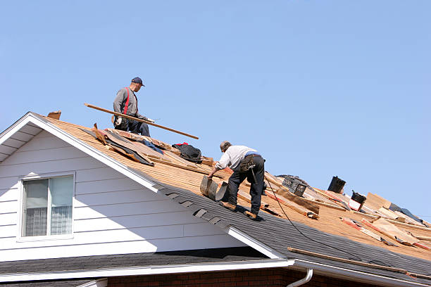 Best Storm Damage Roof Repair  in Calvert, TX